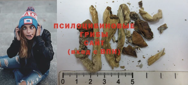 дживик Алзамай