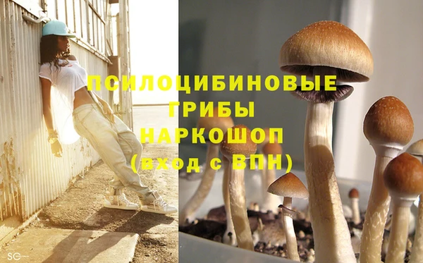 прущие крисы Алексин